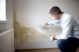 Best Biohazard Mold Removal  in Cornell, WI